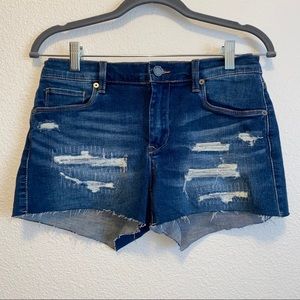 BlankNYC - The Essex Classic Cut Off Shorts 27